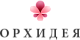 Орхидея Орхидея